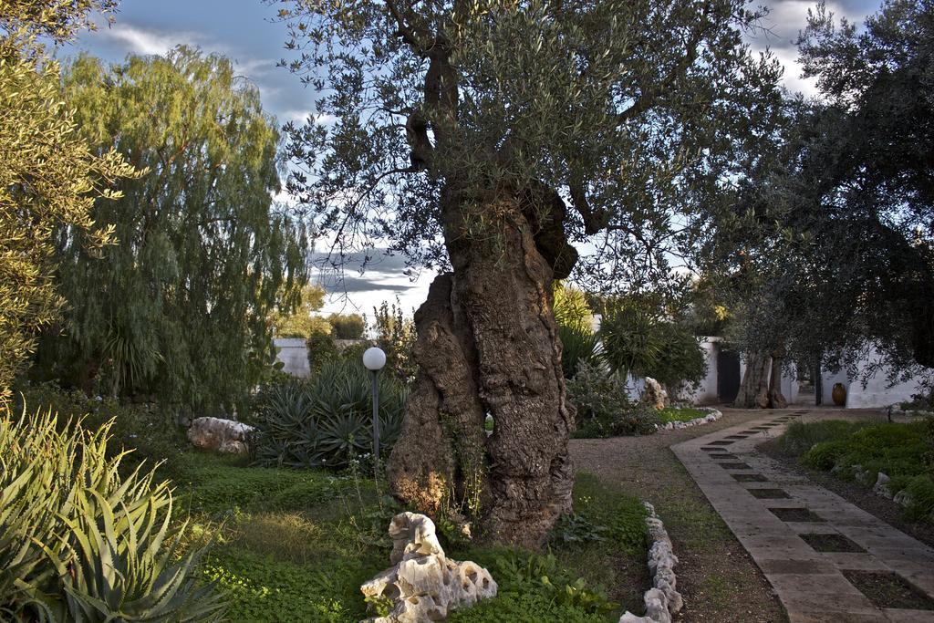 Masseria Vagone Macchia di Monte Exterior photo